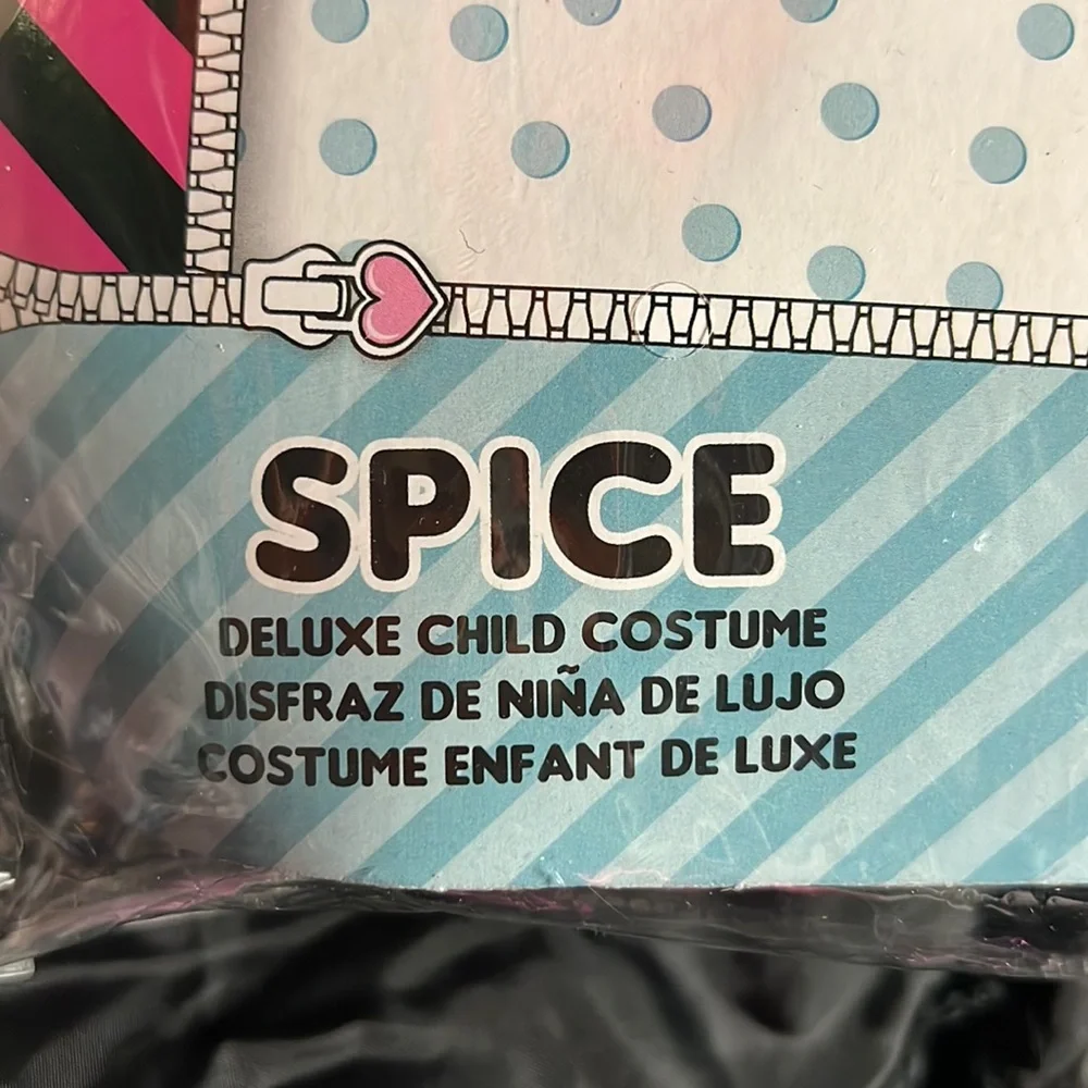 Lg 10-12 Girls Spice costume. Good condition.. - Picture 7 of 8